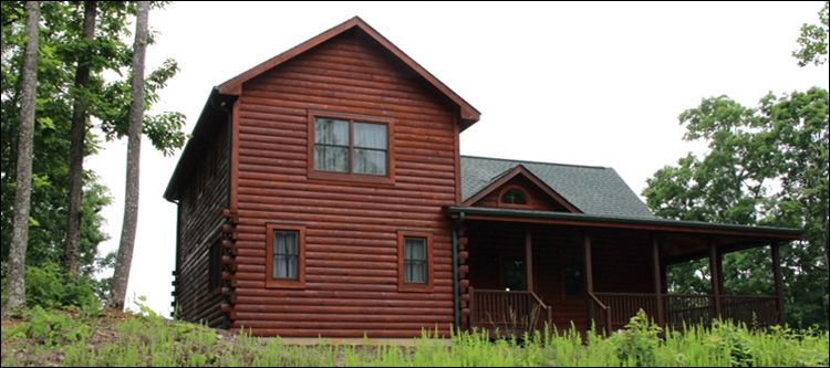 Professional Log Home Borate Application  Loudoun County, Virginia